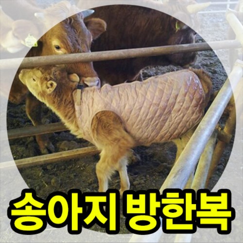 송아지옷