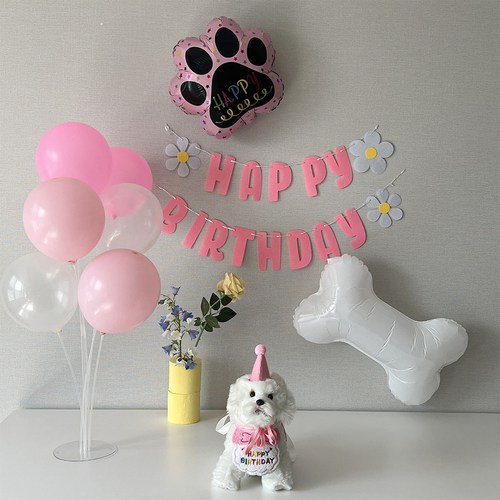 강아지생일상