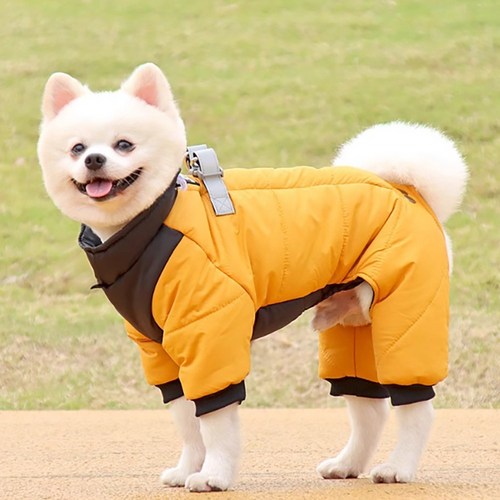 송아지옷