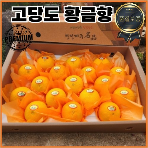 시즌앤홈 프리미엄 제주 제주도 황금향 고당도 산지직송 선물 세트 선물용 특품 답례품, 황금향 가정용 3kg, 1박스, (9-18과)