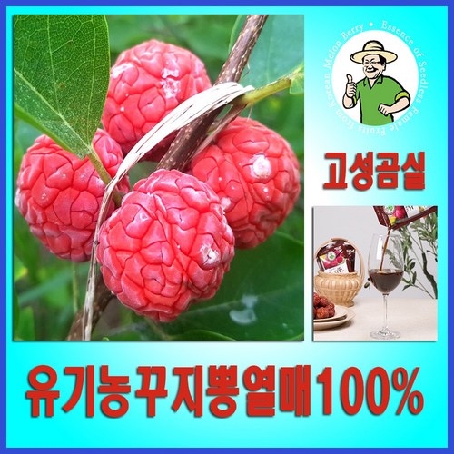 구지뽕 꾸지뽕 발효효소진액 90ml 국산유기농 ******뽕열매100%, 1박스, 2.7L