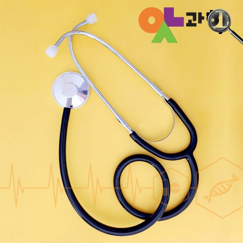 littmann청진기