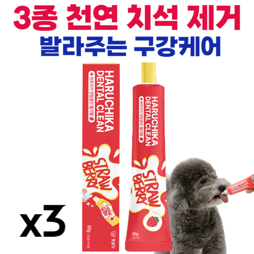 강아지치석제거딸기향