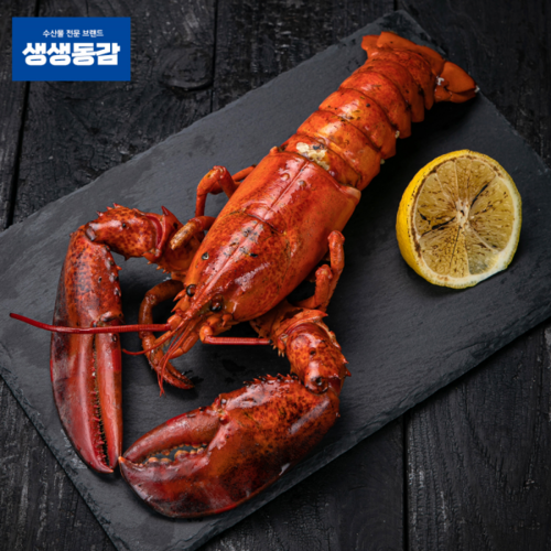 지앤제이 고씨네 자숙랍스타 2.2kg 랍스터 자숙랍스터 킹크랩, 단품 - 킹크랩 추천