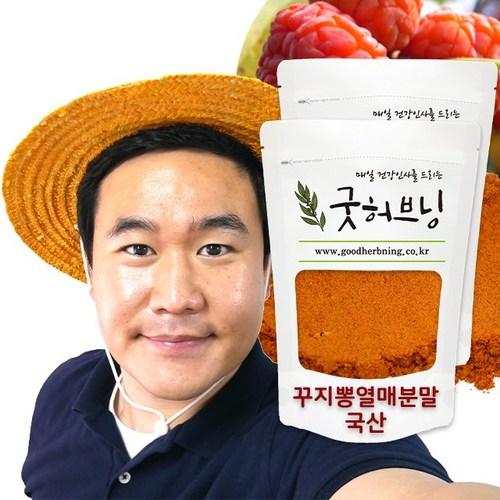 꾸지뽕 ******뽕 구지뽕 열매 가루 분말 국산 250g 굿허브닝, 2개