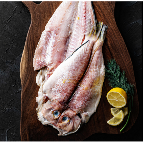 <제주어부> 100% 자연산 참옥돔 <초가성비+한정특가>, 10미(1.6kg이상), 1박스” loading=”lazy” style=”width: object-fit; max-width: 100%; max-height: 300px; display: block; margin: 0 auto;”></a>
        </div>
<div style=