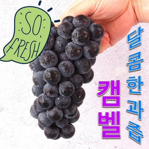 송산포도