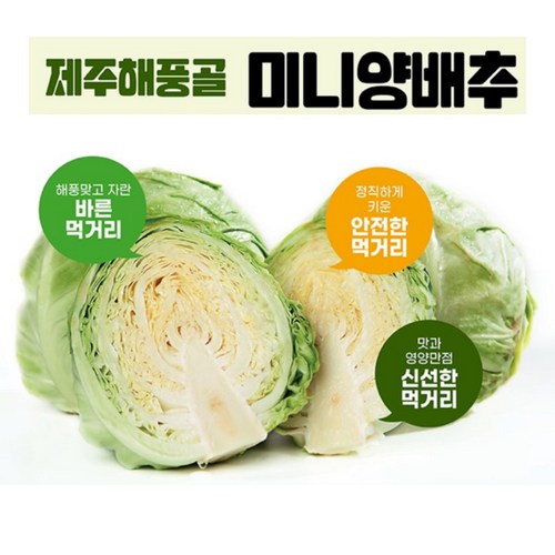 양배추슬라이스