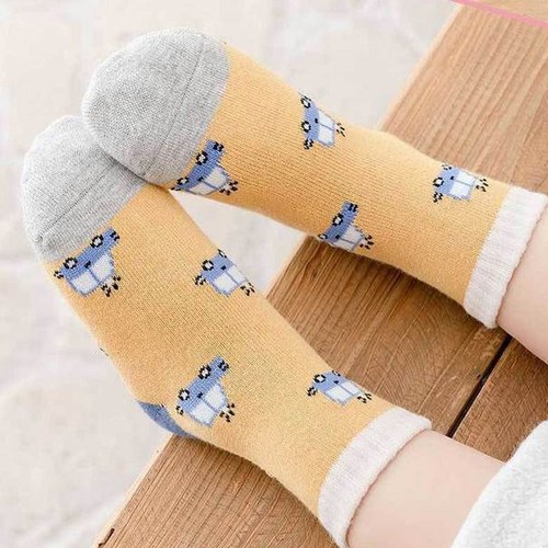 멀티포 도톰한양말 5족세트 아동 가을 겨울 푹신한양말 두꺼운 파일양말