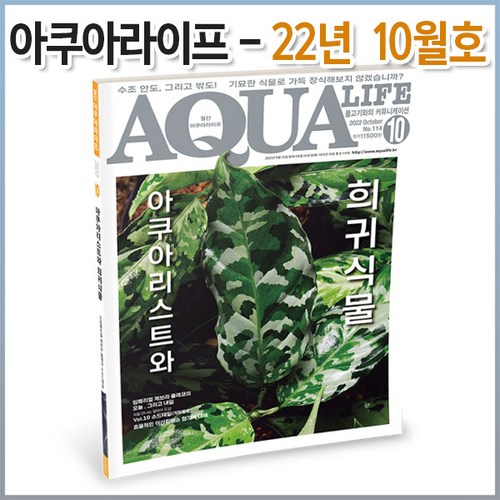 아쿠아라이프