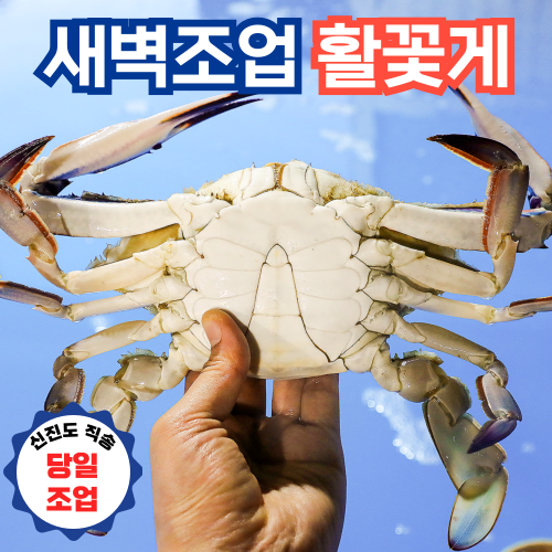 [태안신진도직송] 당일조업 활꽃게 국내산 숫꽃게 암꽃게 국산 생물 꽃게, 1개, 3kg