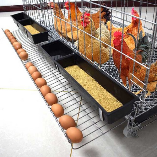 닭장만들기 추천 4