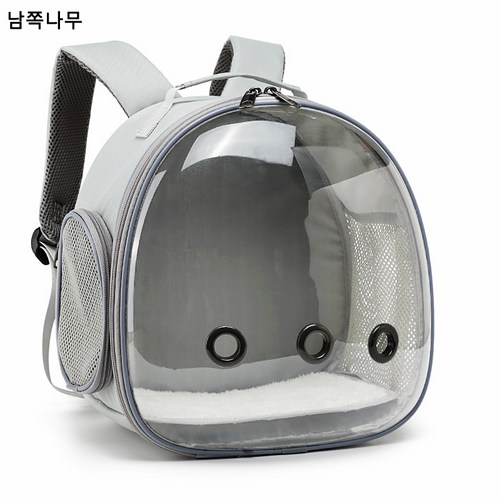 햄스터산책