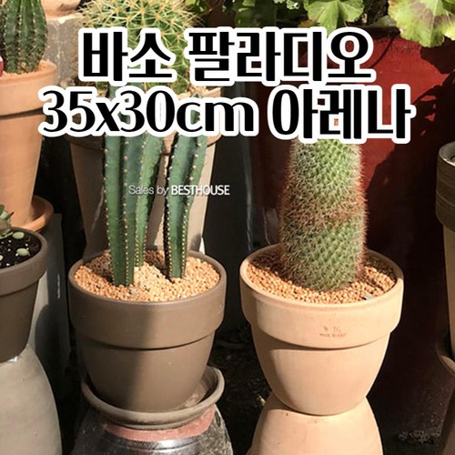 유럽아레나