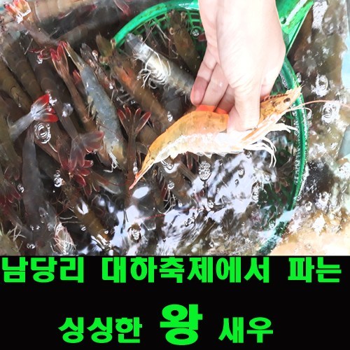 충남홍성남당항 국산양식왕새우1kg(20~29미내외) 대하구이용 소금구이용, 20~29미 내외, 1kg