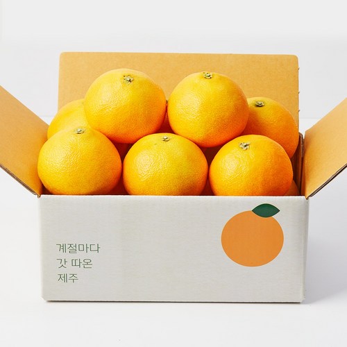 깨비농원 고당도 황금향 1.5kg, 황금향 1.5kg 중과(6-9과), 1개