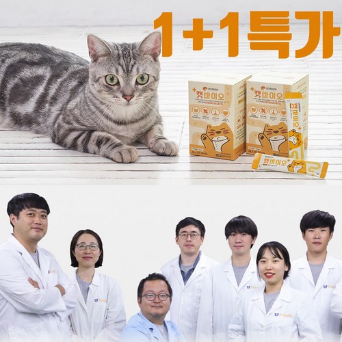 바이오펫츠고양이유산균