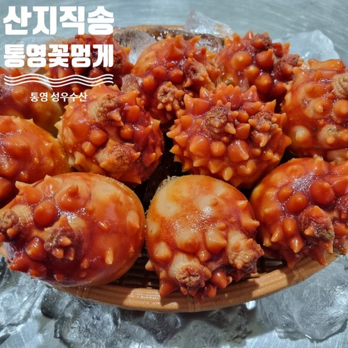 멍게