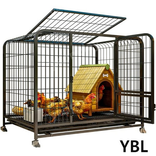 닭장만들기 추천 3