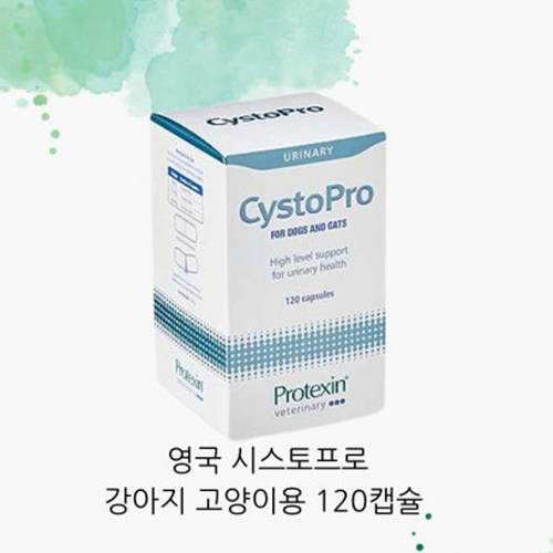시스토프로