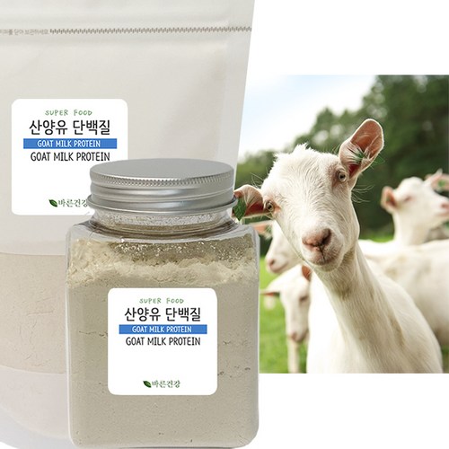 스푼증정 GOAT MILK POWDER 산양유단백질분말 첨가물 없는 네덜란드 산양유100%, 500g, 1개