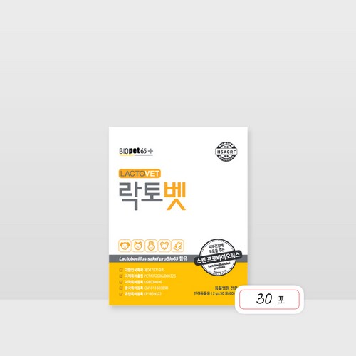 어덜트+고양이+유산균