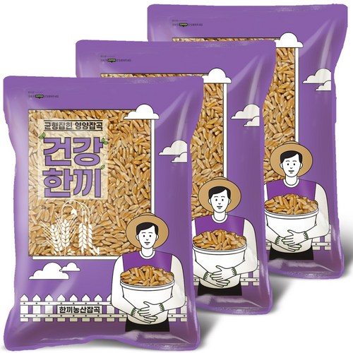 한끼농산 2023년 고대곡물 호라산밀, 1kg, 3개