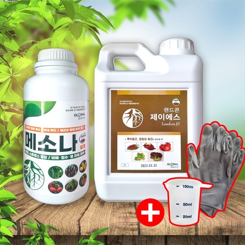 루씨에어화이트헤븐