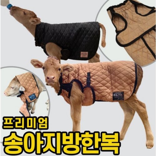 송아지옷
