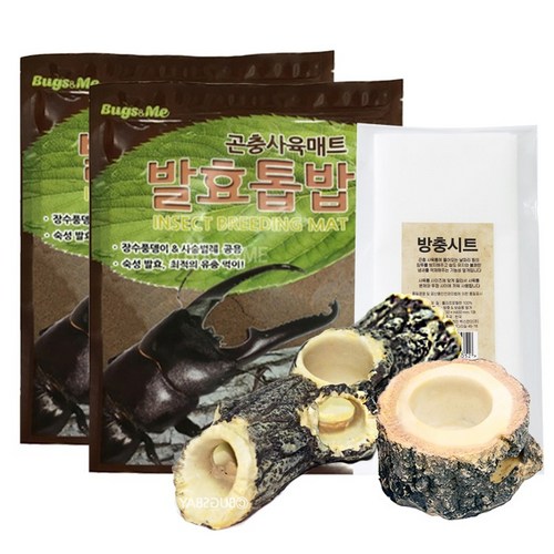 사슴벌레키우기