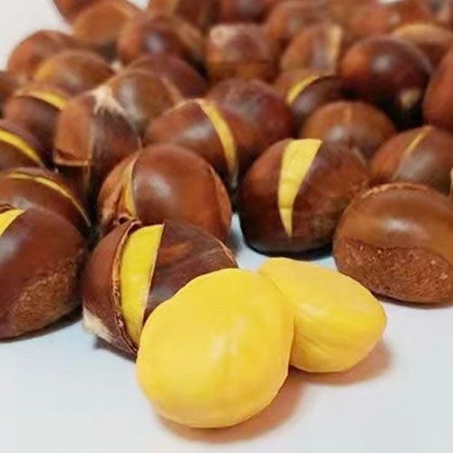 생밤칼집
