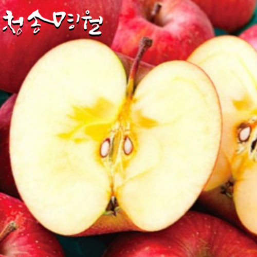 찐찐찐 청송명월 부사 홍로사과 홍옥 아오리 감홍 아리수 시나노골드 산지직송, 1개, 정품중과3kg