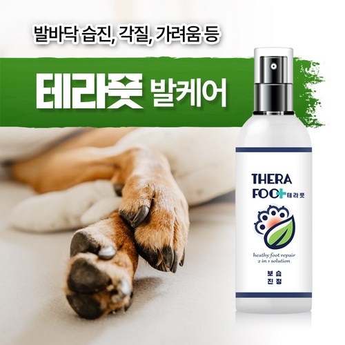 강아지발소독제