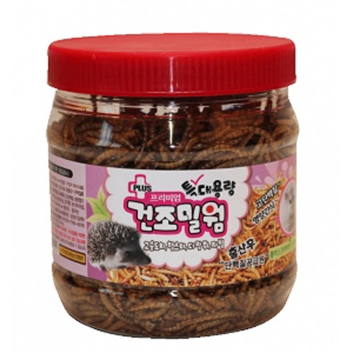 동결건조밀웜