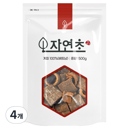 자연초 계피