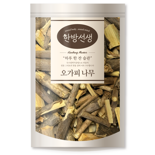 한방선생 오가피 나무