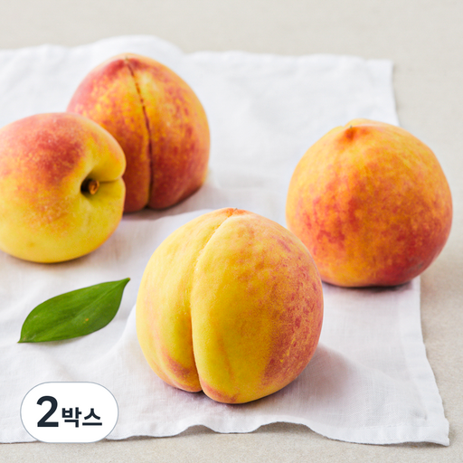 아주마 산지직송 영동 하우스 복숭아