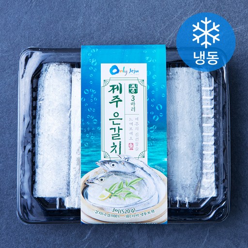 비비수산 제주 손질 은갈치 3마리 (냉동)