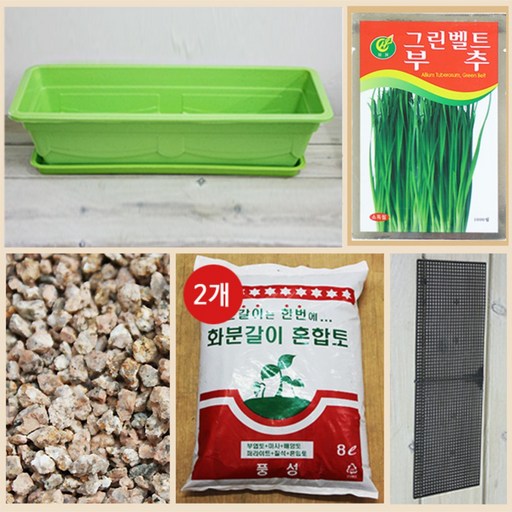 행복한세상 텃밭가꾸기 대 그린 부추
