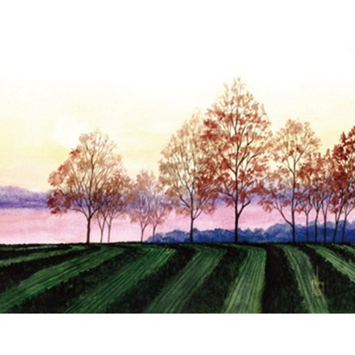 월니크 내외부용 (415x280mm)+(415x80mm) 노트북보호스킨