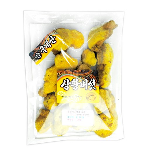 동광 상황버섯 국내산