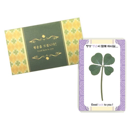 행운의 선물 네잎클로버 생화 코팅카드