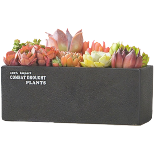 아름트리 모던 감성 다육이 미니 화분 직사각 20 x 8 cm