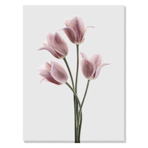 아트마트 빈티지 꽃그림 캔버스 액자 Tulips Pink 디자인 파브리큰