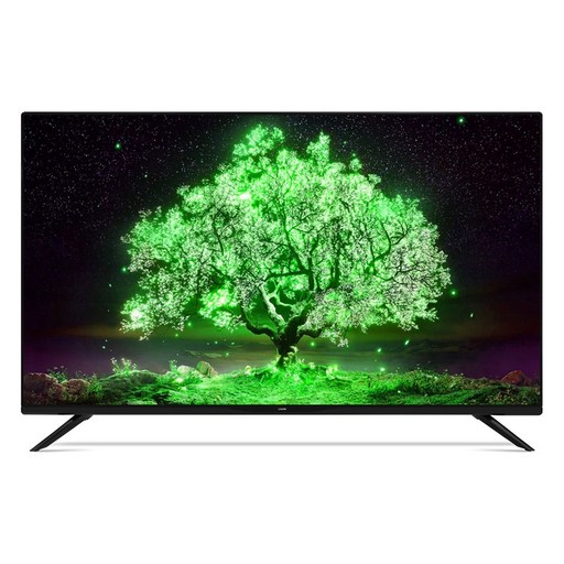 라익미 FHD LED TV VA패널 60Hz 광시야각 프리미엄 TV