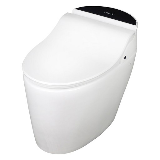 TREVI Bath No.9 자동물내림 일체형 비데  플레이트 랜덤발송, TSTTX5R50RP, 방문설치