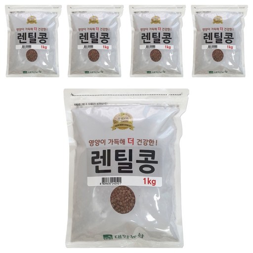 대한농산 렌틸콩