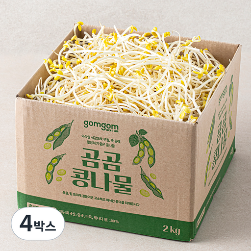 곰곰 콩나물