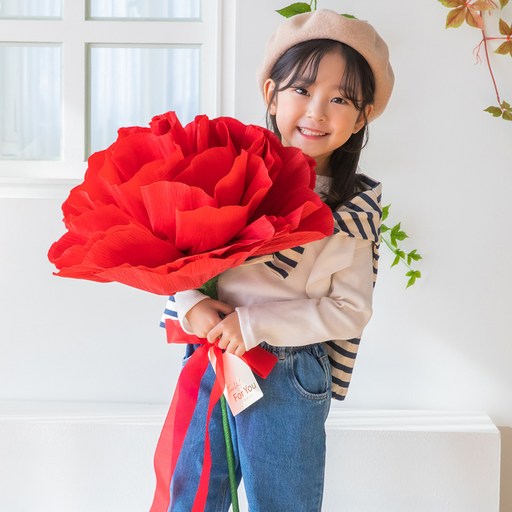 뷰티풀데코센스 조화 자이언트 카네이션  리본장식, 레드, 1개