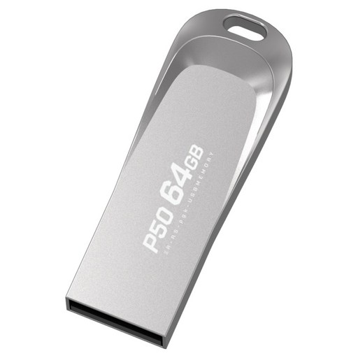 PLEIGO USB 메모리 P50